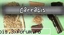 m|rc (probleme gogule probleme?) :) - kanabis - MircHack